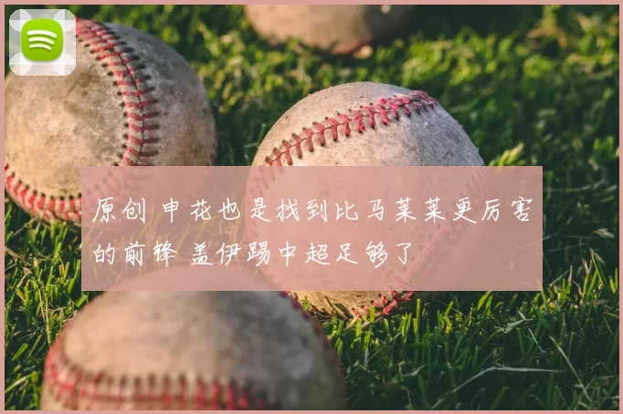 原创 申花也是找到比马莱莱更厉害的前锋 盖伊踢中超足够了