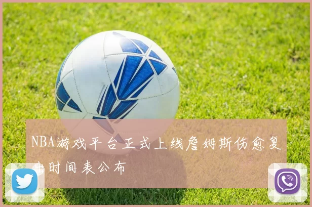NBA游戏平台正式上线詹姆斯伤愈复出时间表公布