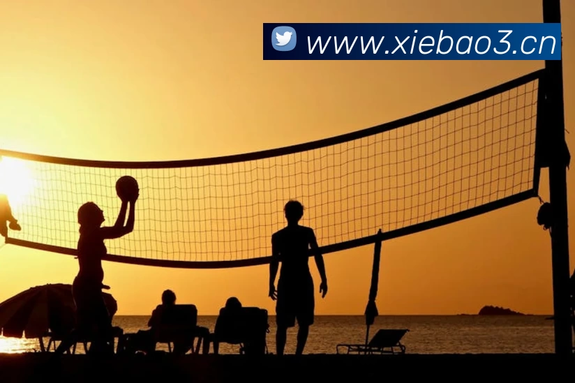 世界杯直播入口官网服务体系